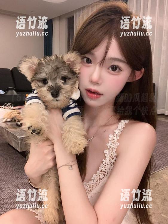 听说51吃瓜网最新的瓜超级好吃，我还在搞下载，求分享给我个快点的方法！