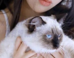 “k718·sx”里的神秘线路：究竟埋藏着多少秘密？