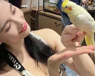 我用五一吃瓜导航寻找今日的娜娜，结果只收获了无限无聊。
