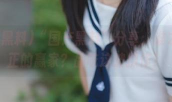 “国产黑料”分享：谁才是真正的赢家？品味这波操作！