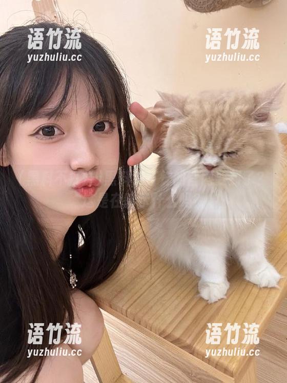 黑料不打烊的官网要封了？这是在暗示什么吗？